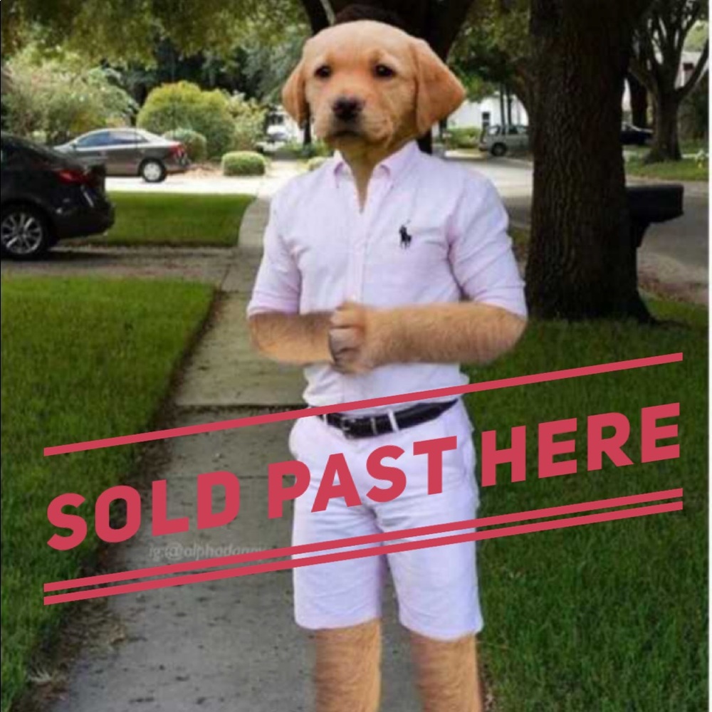 Everything Sold Past This Point
